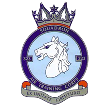 323 Squadron logo